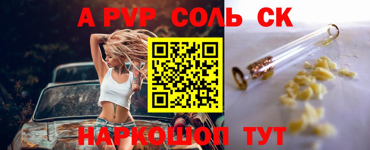Alfa_PVP СК КРИС Майкоп