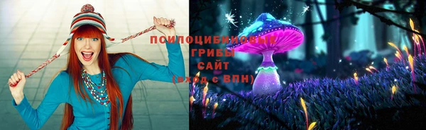 гидропоника Арсеньев