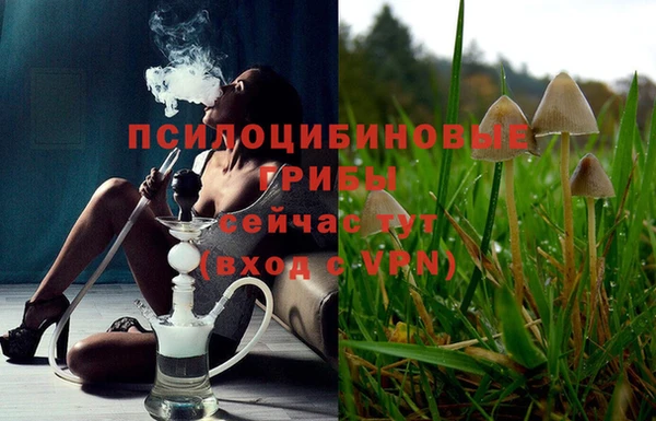 эйфоретик Армянск