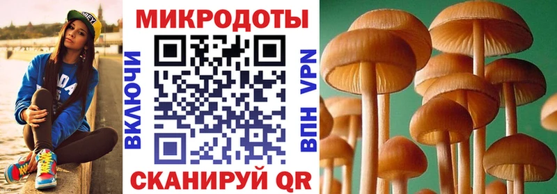 где купить наркотик  Майкоп  Галлюциногенные грибы MAGIC MUSHROOMS 