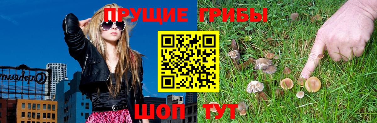 Псилоцибиновые грибы Psilocybe  Галлюциногенные грибы Cubensis  Вход с VPN  Майкоп 