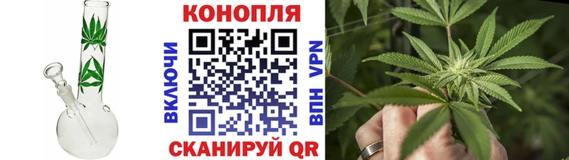 Каннабис конопля  Майкоп 